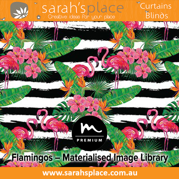 Flamingos – Materialised Image Library